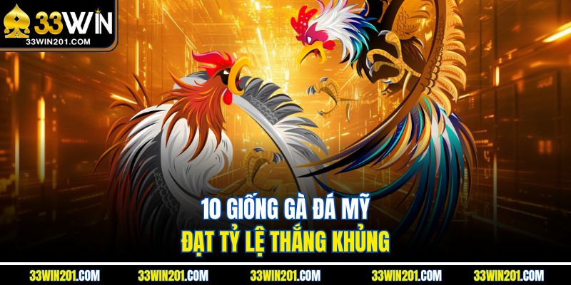 10 giống gà đá Mỹ đạt tỷ lệ thắng khủng