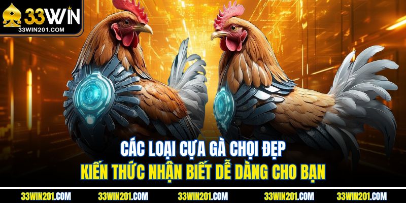 Các Loại Cựa Gà Chọi Đẹp - Kiến Thức Nhận Biết Dễ Dàng Cho Bạn
