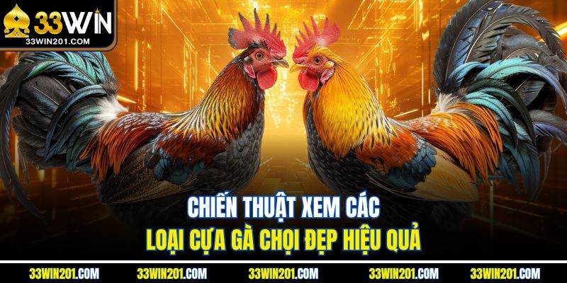 Chiến thuật xem các loại cựa gà chọi đẹp hiệu quả