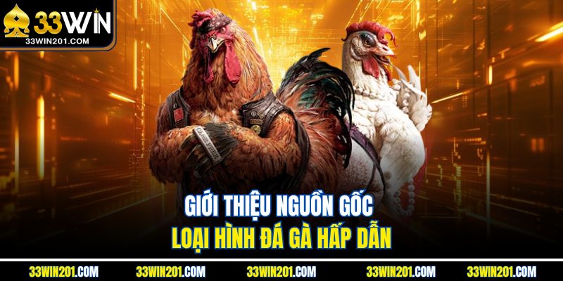 Giới thiệu nguồn gốc loại hình đá gà hấp dẫn