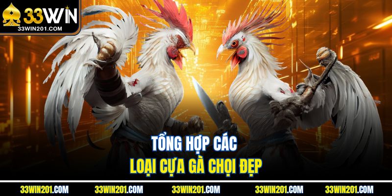 Tổng hợp các loại cựa gà chọi đẹp