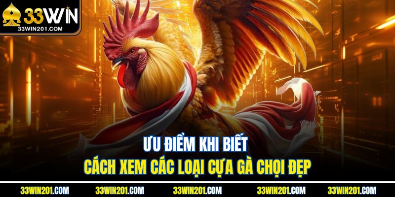 Ưu điểm khi biết cách xem các loại cựa gà chọi đẹp